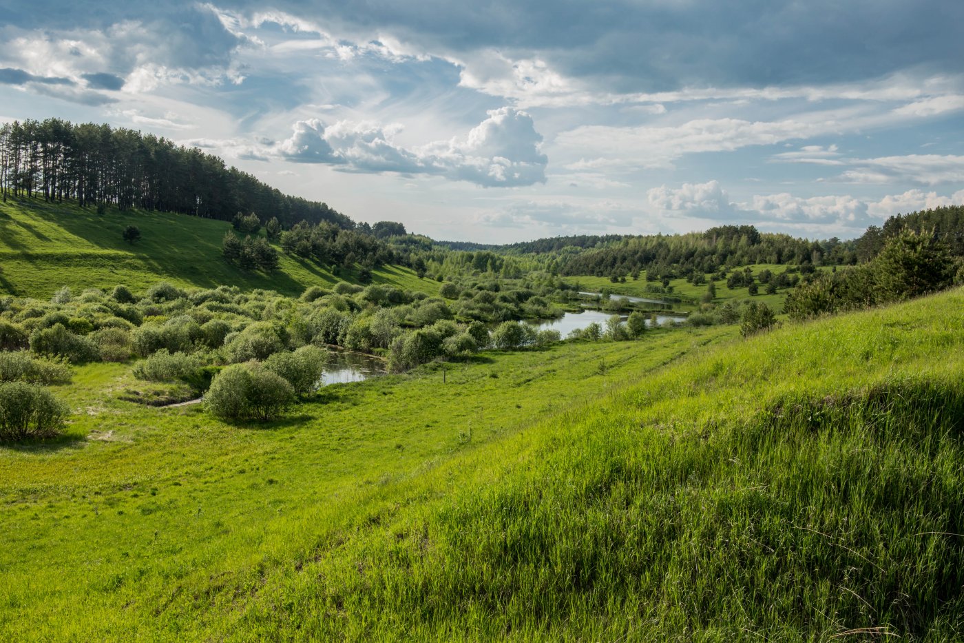 Холмистая равнина Карелии