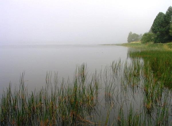 Карта озера полонец