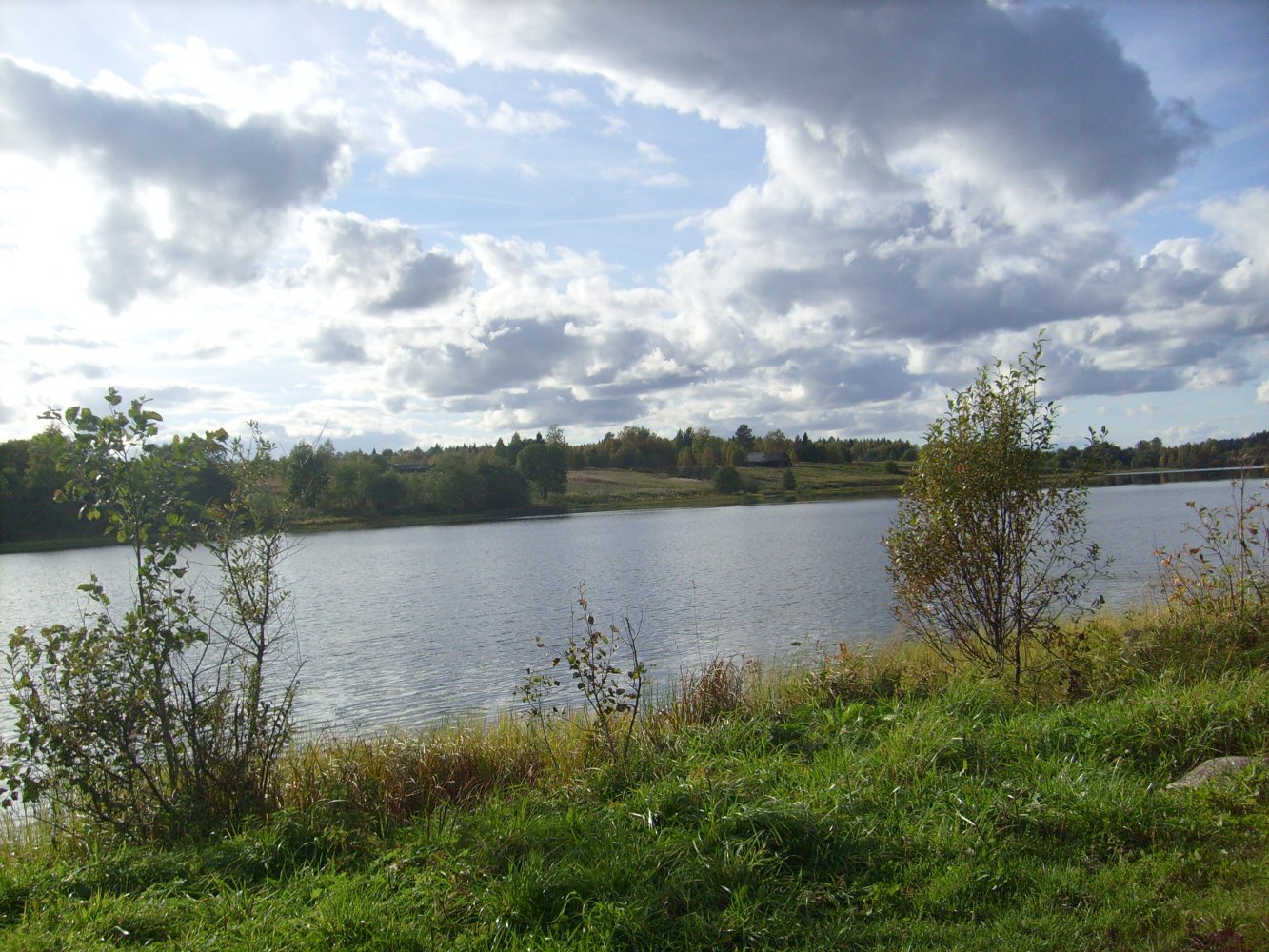 Вид на озеро с мостков в деревне Кладовка