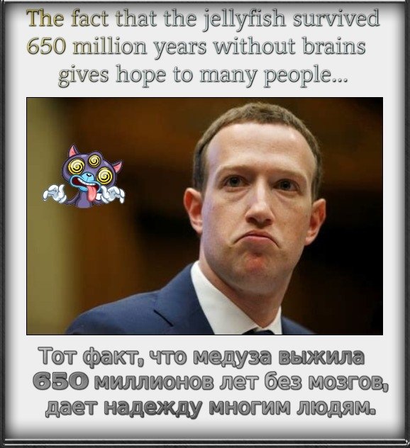  Mark Elliot Zuckerberg,   shitty businessman