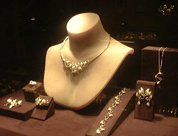 ���������������� ������������ ��� ��������� ���������