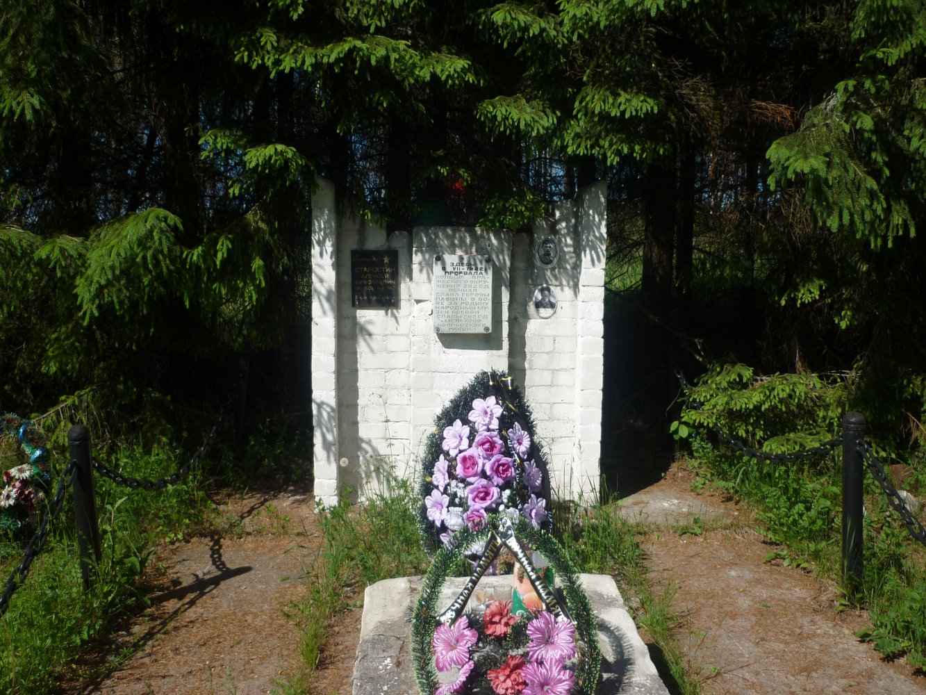 �������� �����������