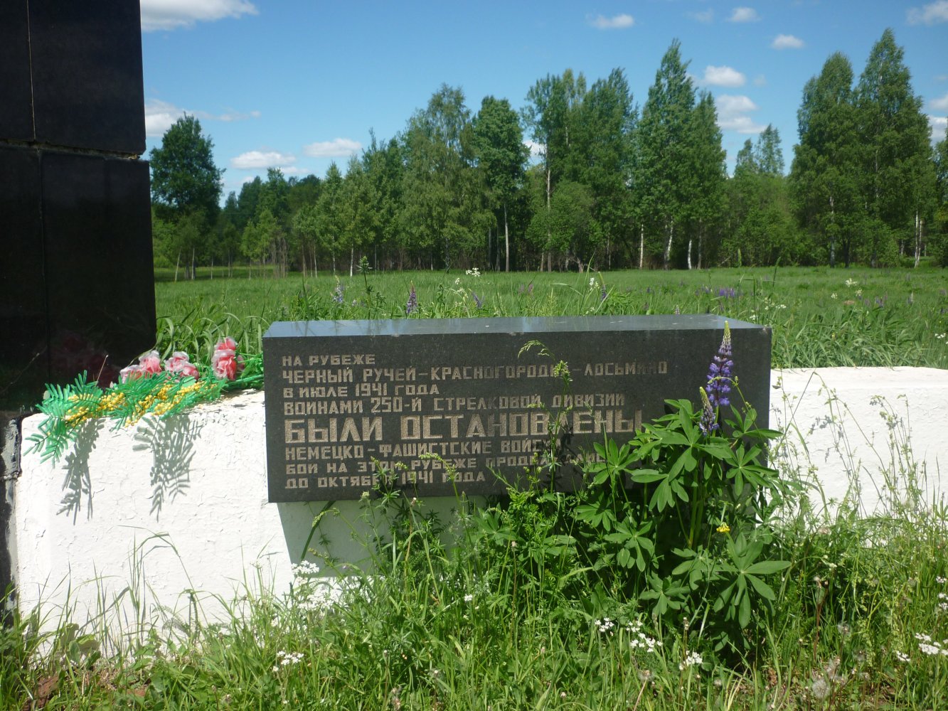 �������� �����������