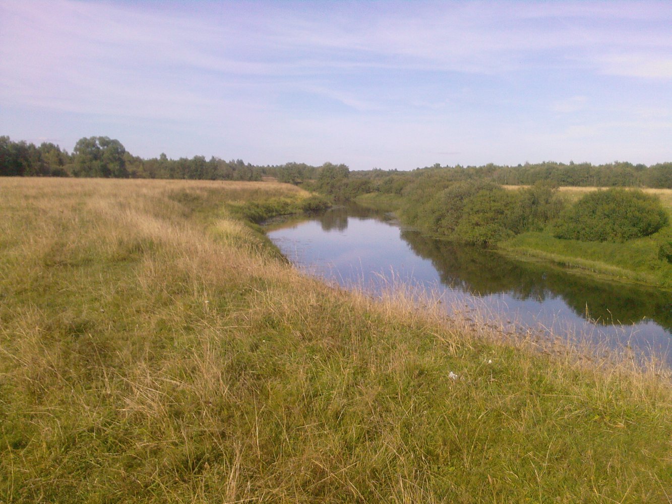 ���� ������