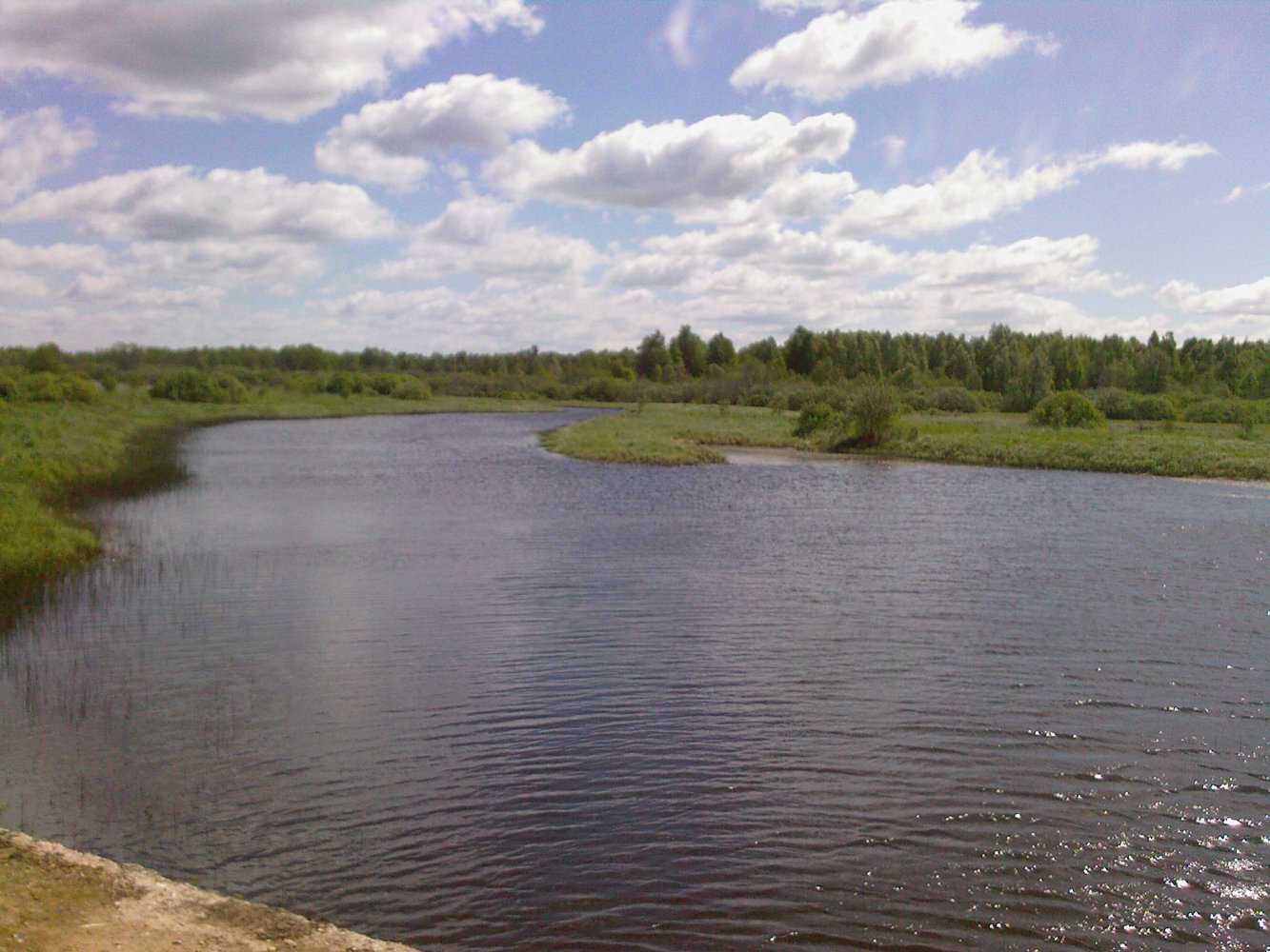 ���� ����� ������ ���� ���������