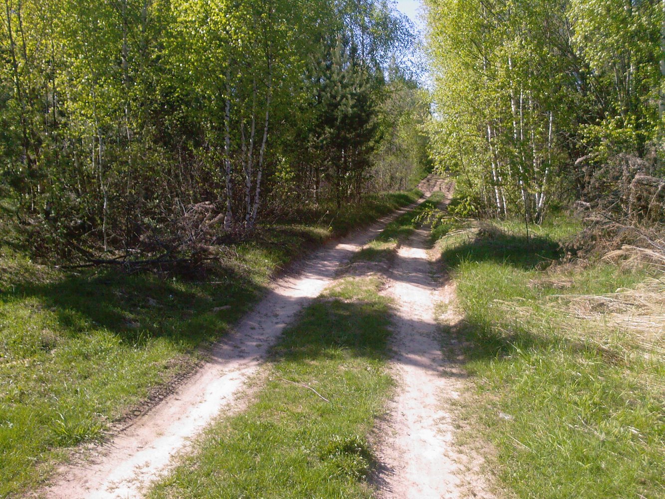 ������ �� ������