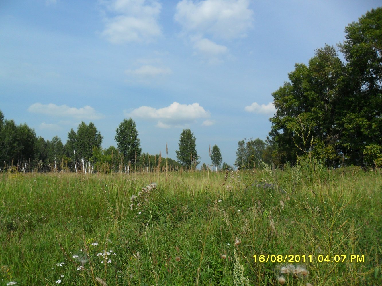 �������