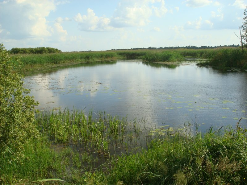 ce bilya Novuch Chervusch