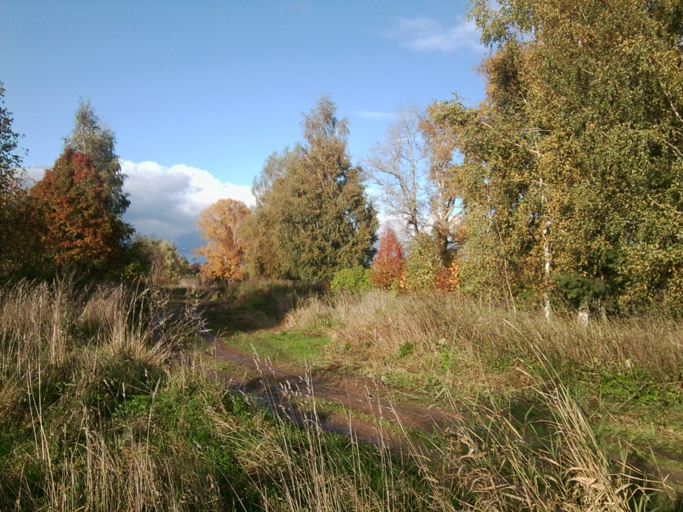 ��������.