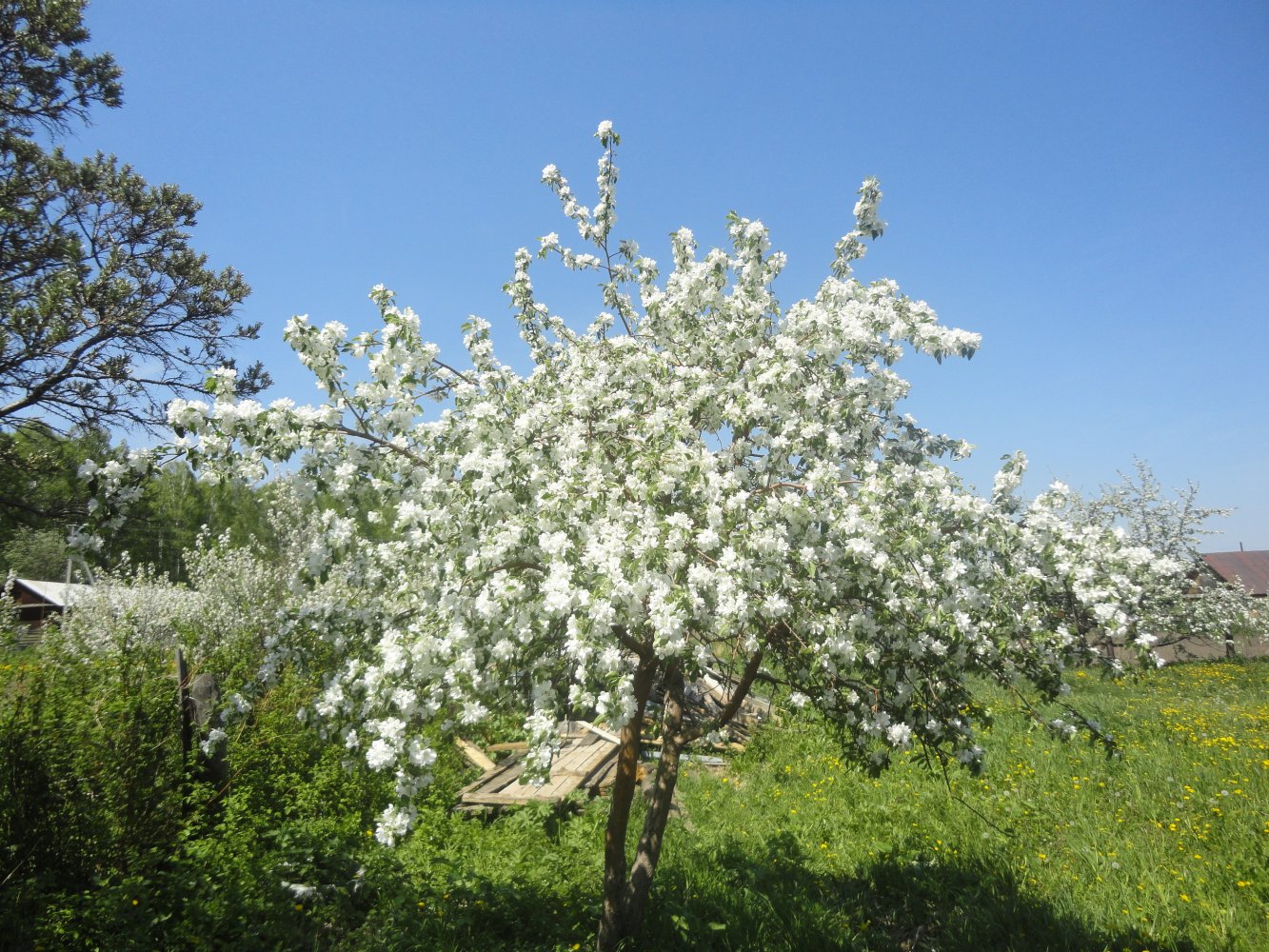 ������ � ����� ��.�������������