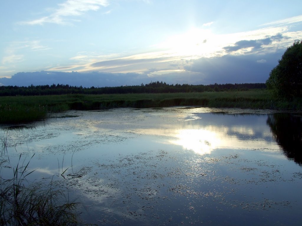 ���� � �. �������