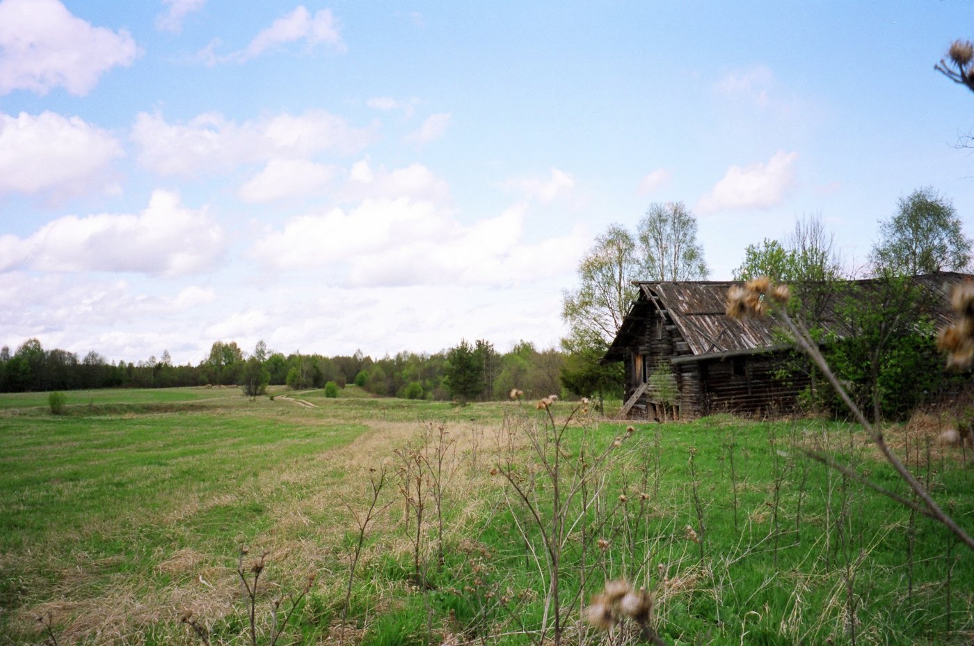 ������������. �. �����