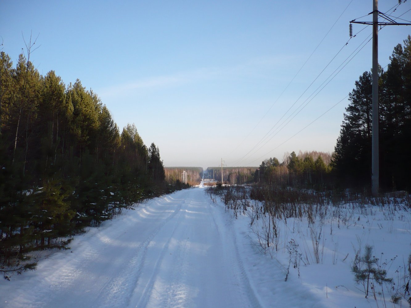 ��������������� ������ ����� �����������. 18.02.2012