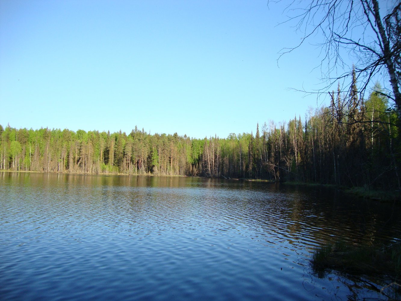 Озеро Васильевское Талдомский район