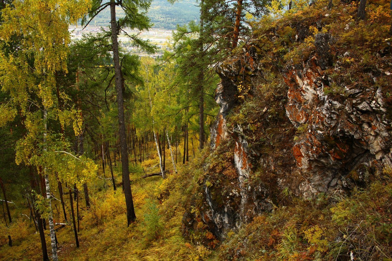 ������� ������