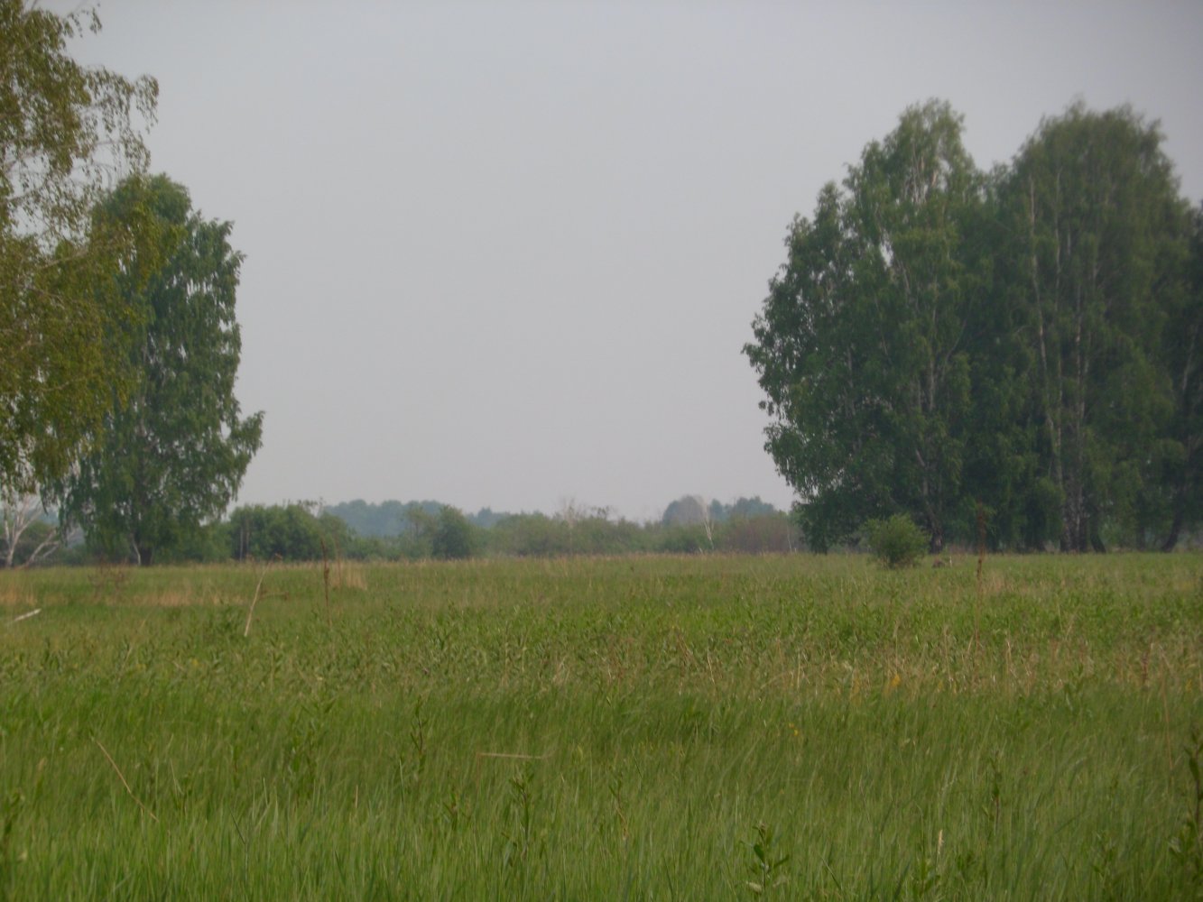 ���� ����� 