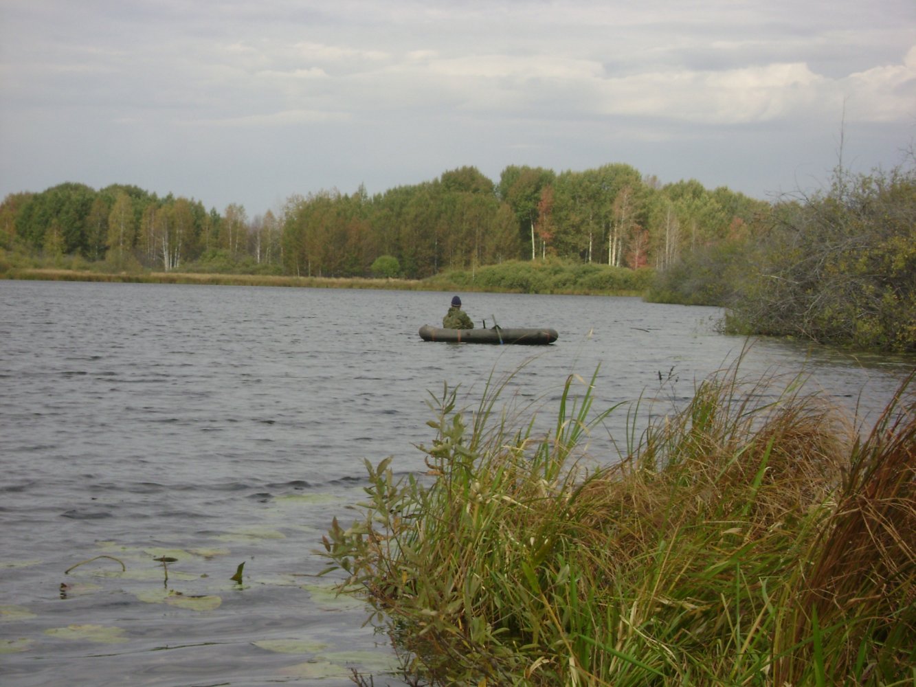 ����������� �����