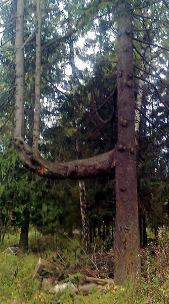 ������ � � ��� ����