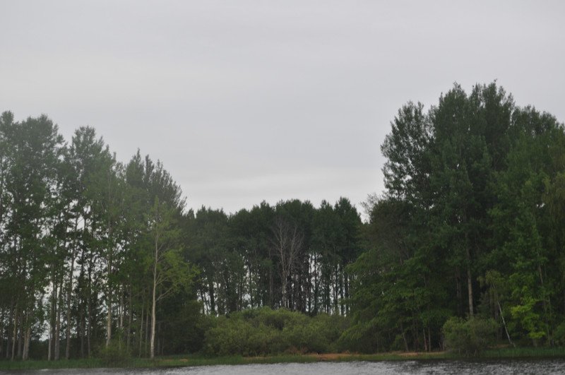 ����� �������� ����