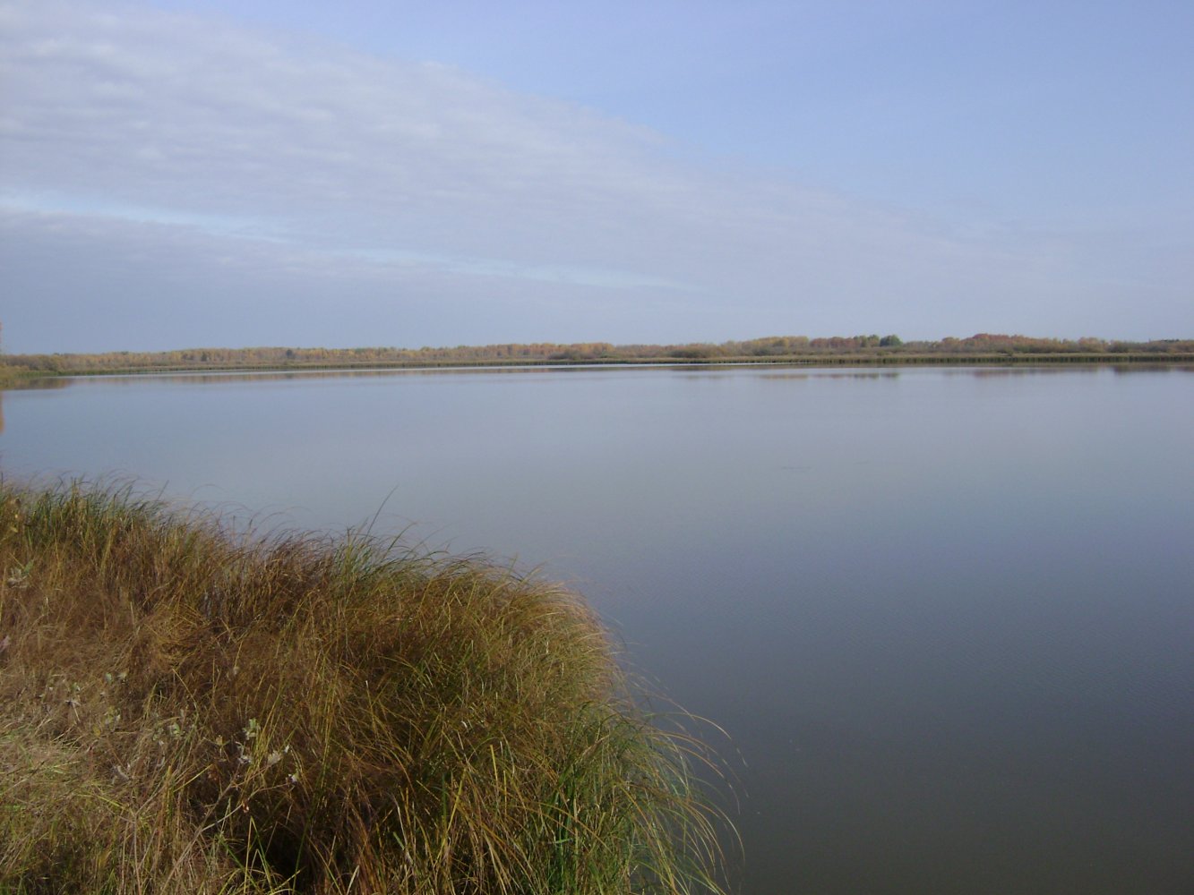 ��������� �����