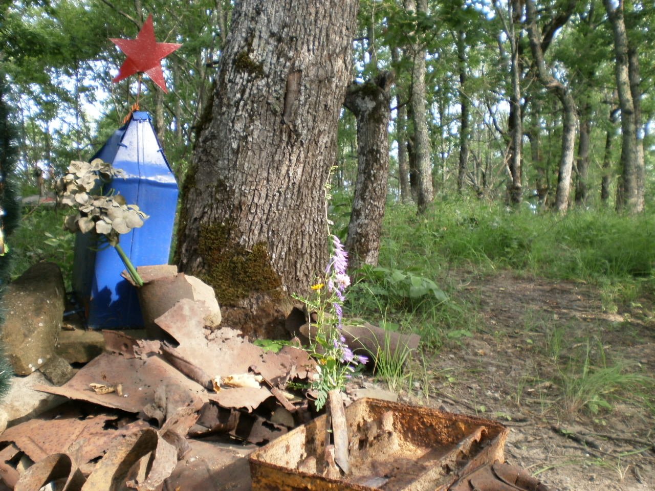 ���� ������ 