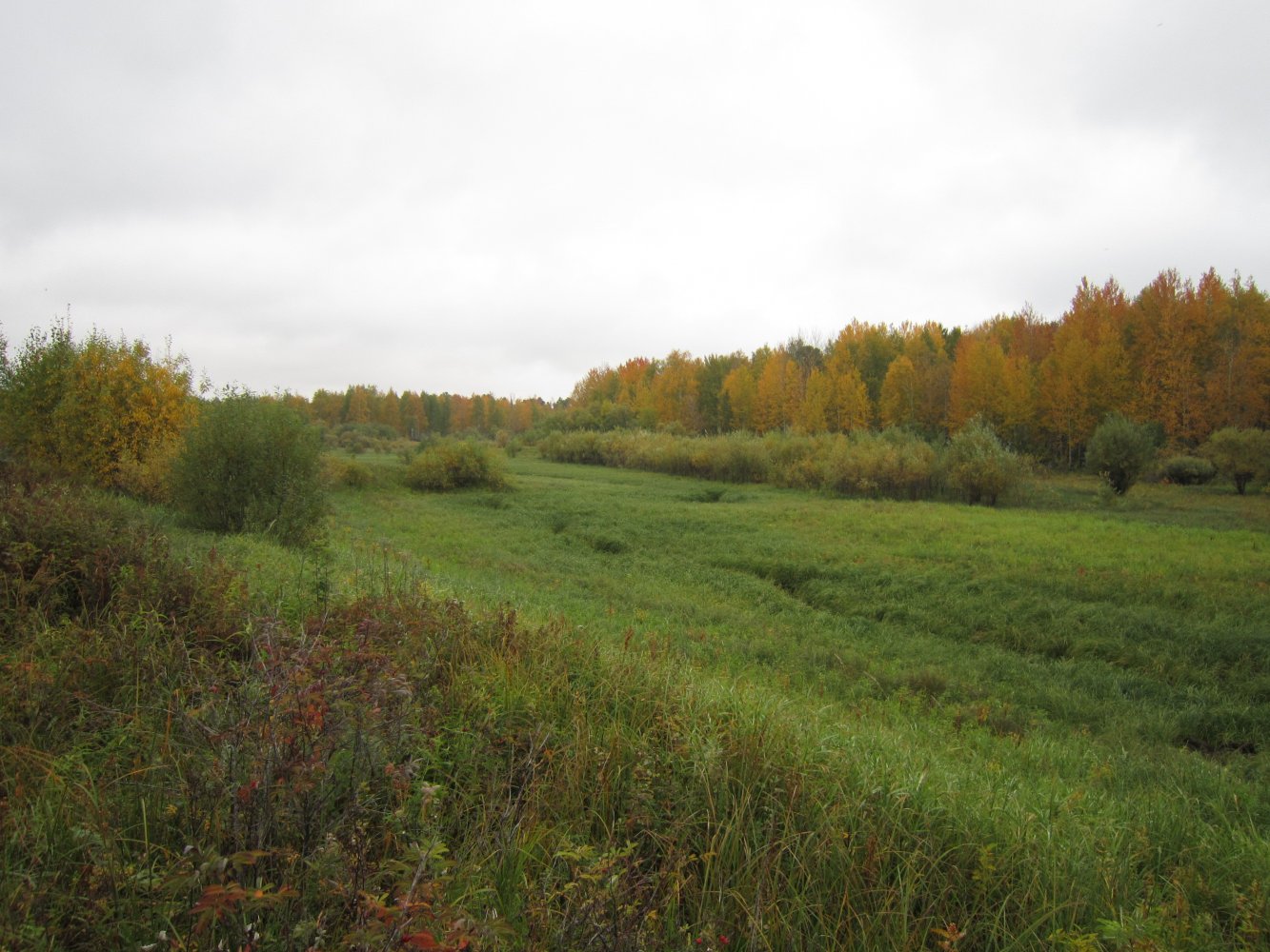 �. �������