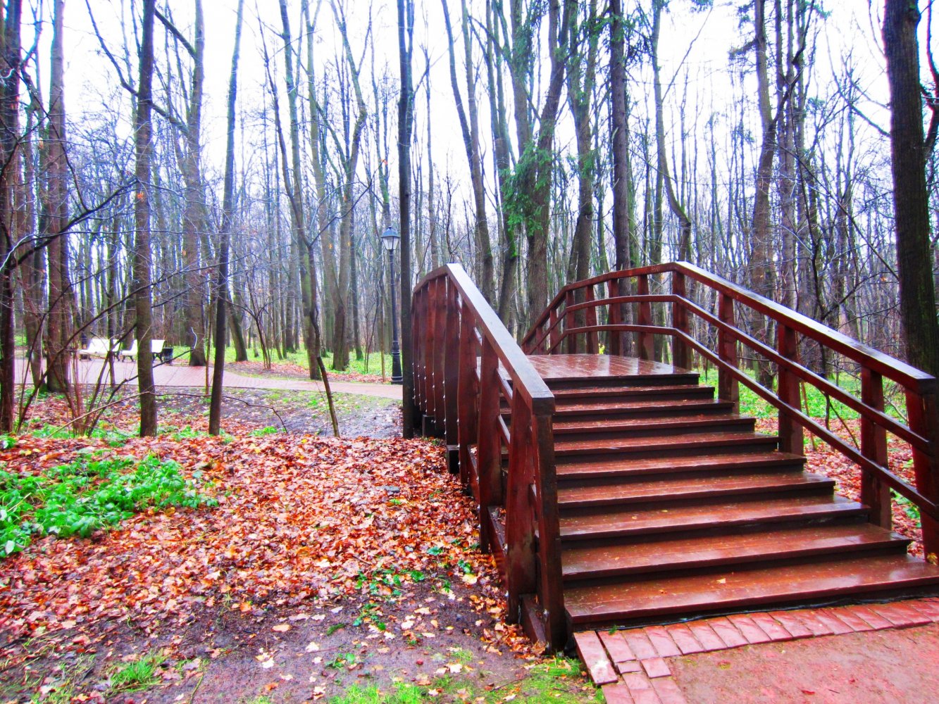 ����� �������� ����, ����� ���� �� ��������� ���� � �������